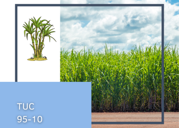TUC 95-10