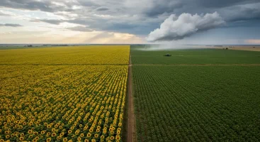 Datos Agrometeorológicos