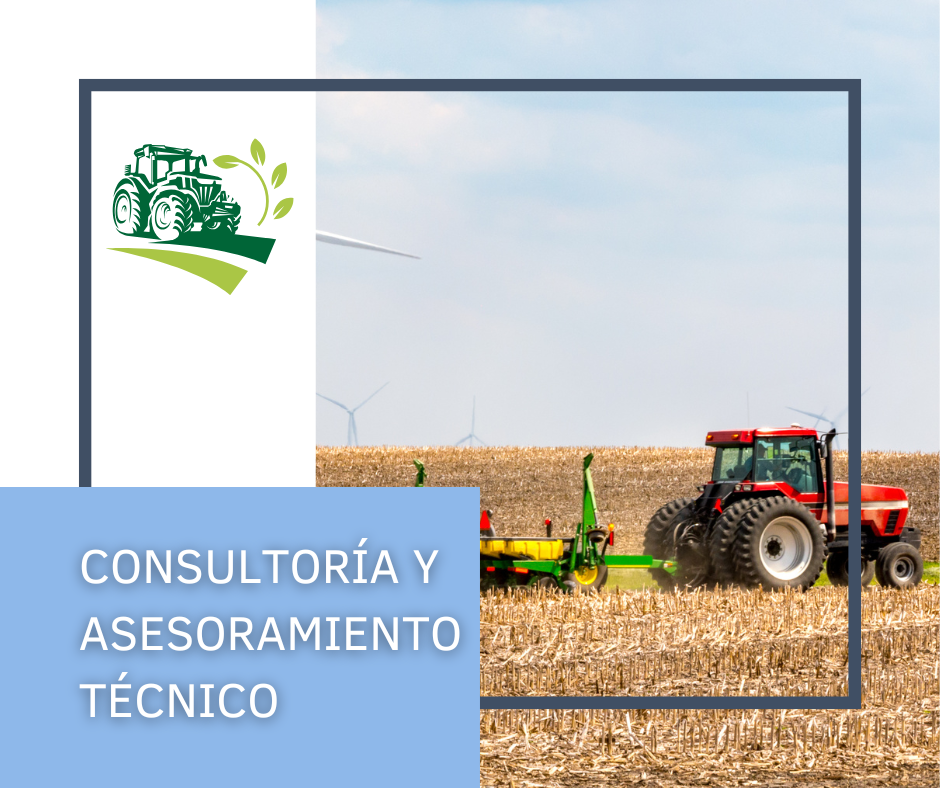 Consultoría y Asesoramiento Técnico