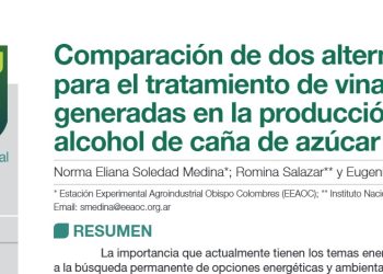 Comparación de dos alternativas para el tratamiento de vinazas generadas en la producción de alcohol de caña de azúcar
