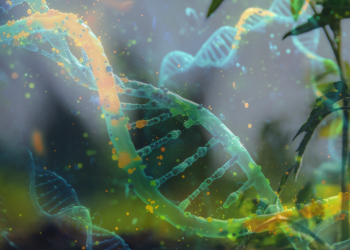 Agricultura sustentable: tecnología basada en ARN