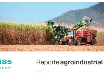 1º Informe Prezafra 2020