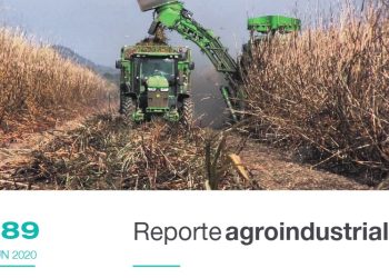 2º Informe Prezafra 2020