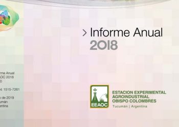 Informe Anual 2018