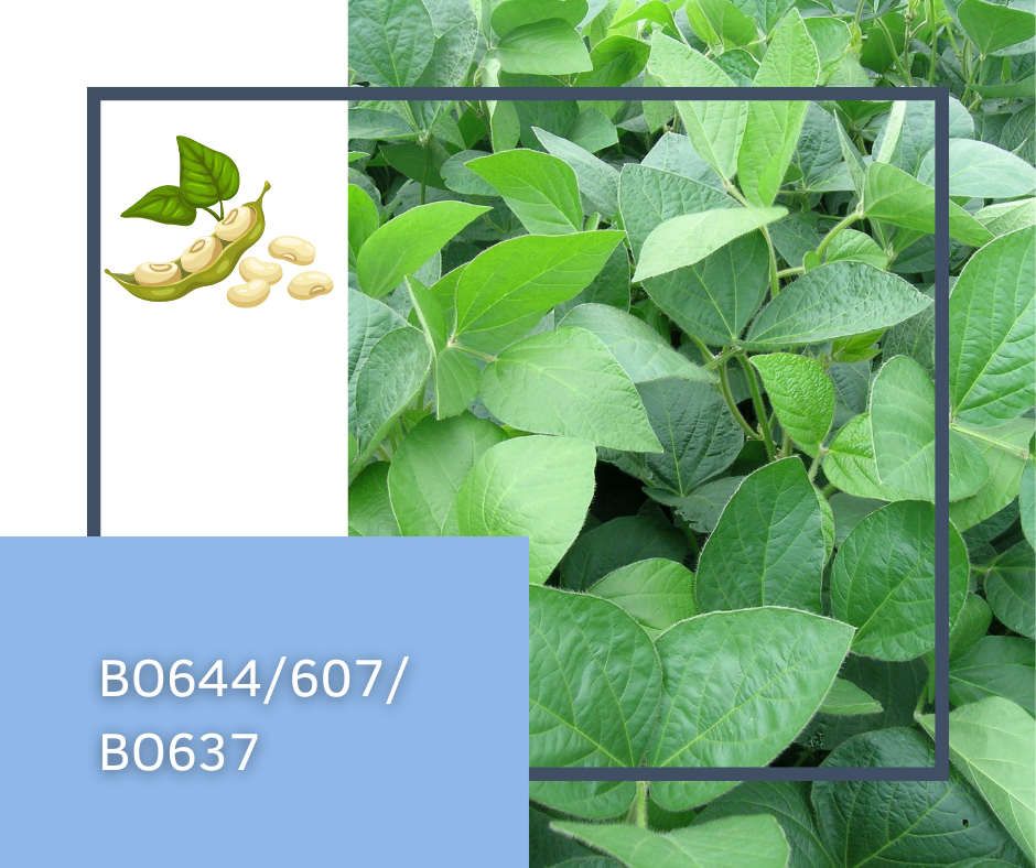 BO644/607/BO637