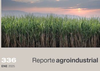 Dinámica de la cosecha de caña de azúcar en Tucumán, zafra 2024