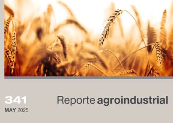 Resultados económicos y productivos del cultivo de trigo en Tucumán entre los años 2015-2024 y perspectivas para el año 2025