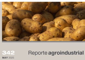 Actividad comercial del cultivo de papa en la Argentina y en Tucumán en la campaña 2024