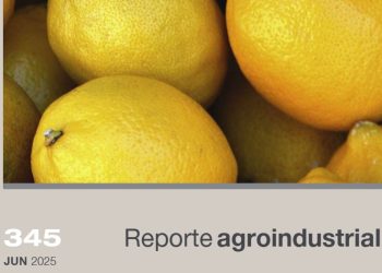 Dinámica comercial de la producción de limón tucumano durante el año 2024