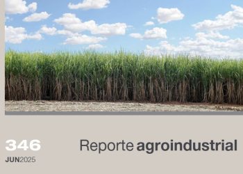 Gastos de producción y margen bruto del cultivo de caña de azúcar en Tucumán en las campañas 2023/24 y 2024/25