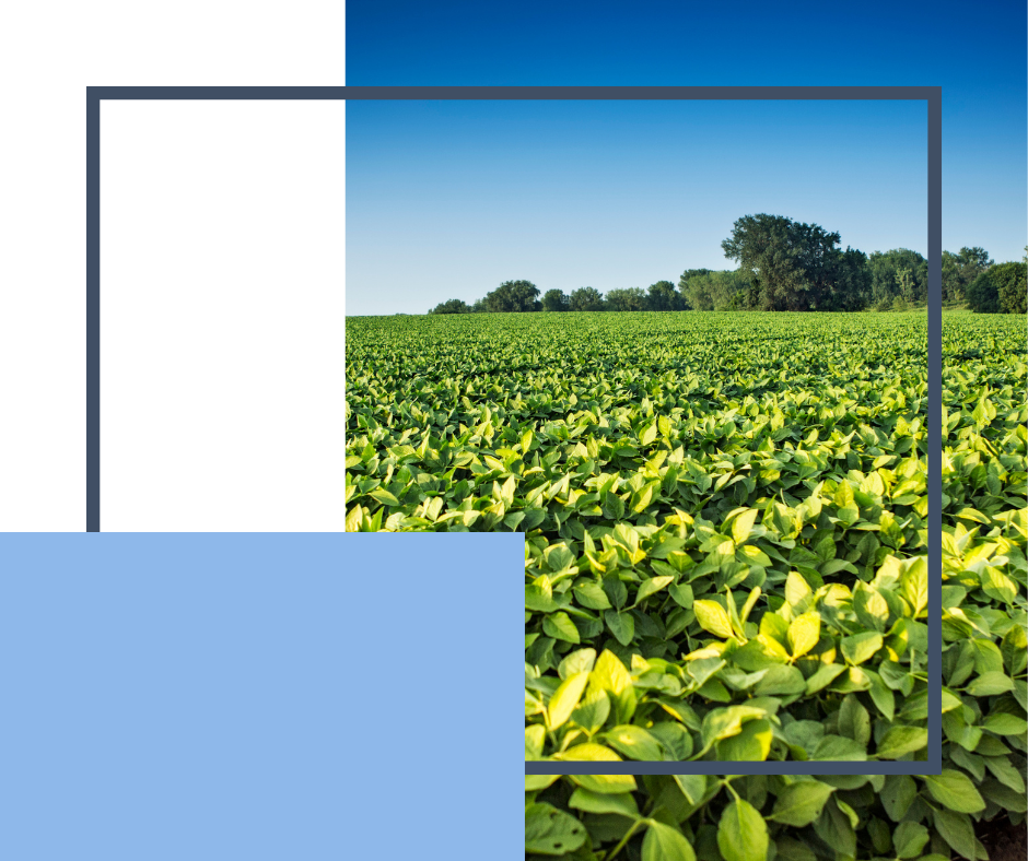 Laboratorios Ingeniería y Proyectos