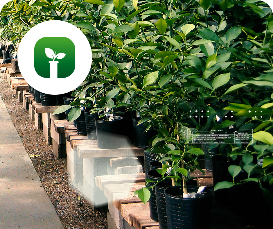 Centro de Saneamiento de Citrus