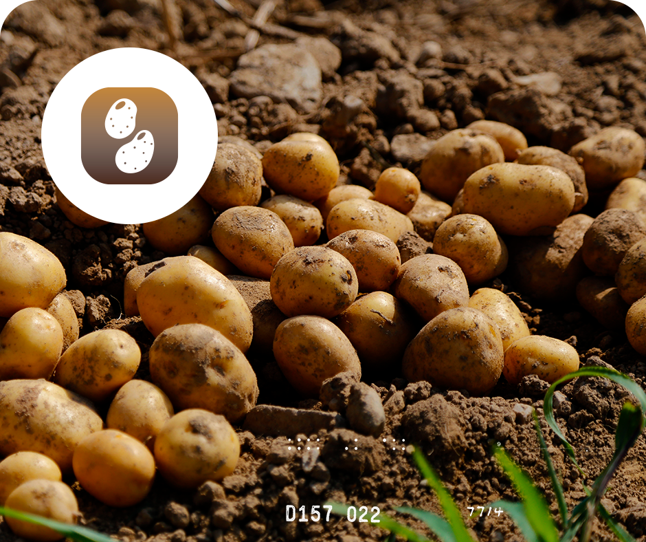 Horticultura Asesoramiento y Evaluaciones