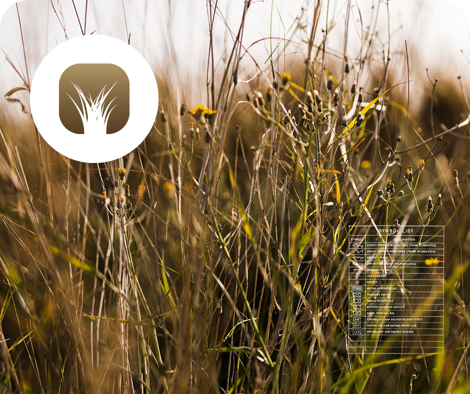 Manejo de Malezas | Información y Asesoramiento