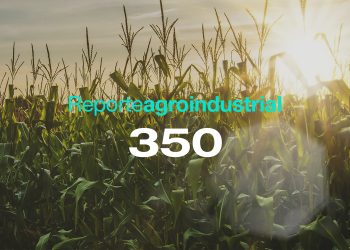 Resultados de la encuesta realizada a productores de maíz en Tucumán y zonas de influencia, campaña 2024/2025