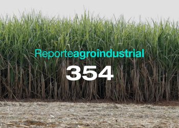 Fertilización en caña de azúcar: variaciones de costos y poder de compra del azúcar en Tucumán (2020–2025)