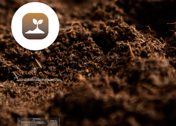 Problemática de los Suelos y Nutrición Vegetal