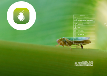 Laboratorio de Zoología Agrícola de la EEAOC