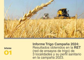 Informe Trigo Campaña 2024: Resultados obtenidos en la RET (red de ensayos de trigo) de 3 localidades y su perfil sanitario en la campaña 2023