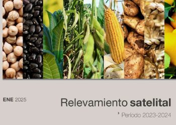 RELEVAMIENTO SATELITAL DE LOS PRINCIPALES CULTIVOS DE LA PROVINCIA DE TUCUMAN CAMPAÑA 2023/2024