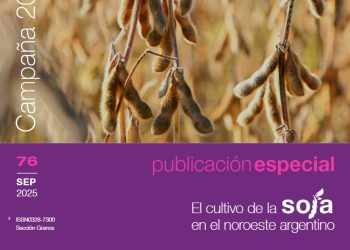 Soja en el NOA 2025