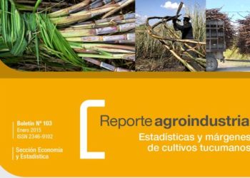 RA103-Estadísticas, costos y margen bruto del cultivo de caña de azúcar, campaña 2012/13 vs 2013/14 y gasto de plantación para la zafra 2015 en Tucumán
