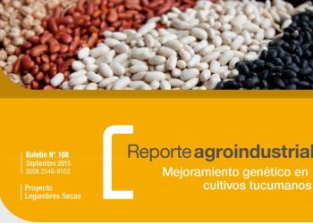 RA108-Campaña de poroto 2015: resultado de ensayos y análisis de campaña