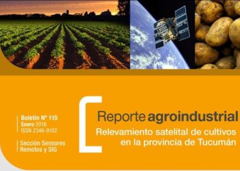 Papa en el pedemonte y llanura de Tucumán: superficie cultivada en la campaña 2015 y comparación con campañas precedentes