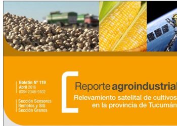 Cultivos estivales en la provincia de Tucumán: superficie con soja y maíz en la campaña 2015/2016 y comparación con campañas precedentes