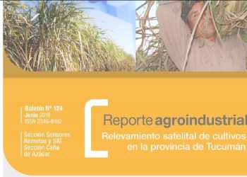 Resultados productivos y económicos del cultivo de soja en Tucumán, en la campaña 2015/16
