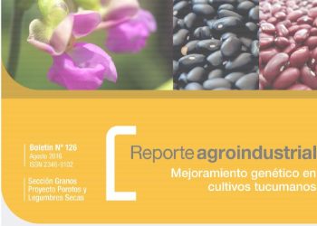 Principales características de la campaña de poroto 2016