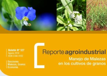 Taller de Manejo de Malezas: análisis de situaciones problemáticas frecuentes en el NOA en la campaña 2015/16