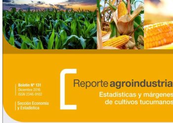Resultados productivos y económicos del cultivo de maíz en Tucumán, campaña 2014/15 vs 2015/16 y perspectiva 2016/17