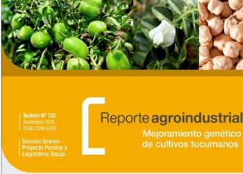 Campaña de garbanzo 2016: Análisis de campaña y resultados de ensayos