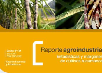 Estadísticas, costos y margen bruto del cultivo de caña de azúcar, 2015/2016 vs 2014/2015. Gasto de plantación para la zafra 2017 en Tucumán