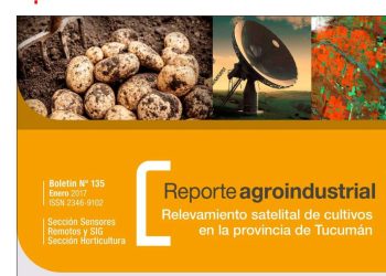 Área cultivada con papa en el pedemonte y llanura de Tucumán en la campaña 2016 y comparación con campañas precedentes