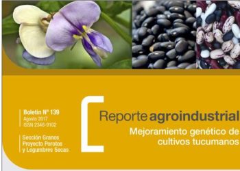 Características y resultados de la campaña de poroto 2017