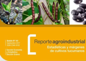 Resultados económicos del cultivo de poroto negro en Tucumán en las campañas 2015, 2016 y 2017