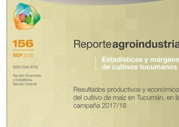 Resultados productivos y económicos del cultivo de maíz en Tucumán, campaña 2017/18