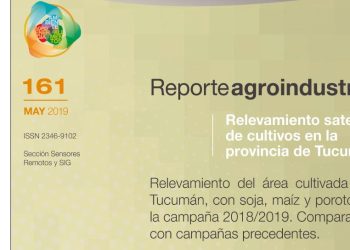 Relevamiento del área cultivada en Tucumán,con soja, maíz y poroto, en la campaña 2018 / 2019. Comparación con campañas precedentes