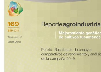 Poroto: Resultados de ensayos comparativos de rendimiento y análisis de la campaña 2019