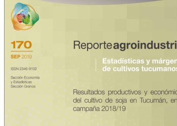 Resultados productivos y económicos del cultivo de soja en Tucumán en la campaña 2018/19