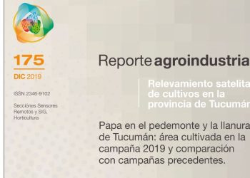Papa en el pedemonte y la llanura de Tucumán: área cultivada en la campaña 2019 y comparación con campañas precedentes.
