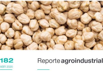 Resultados económicos y productivos del cultivo de garbanzo en Tucumán, período 2014 – 2019 y perspectivas 2020.