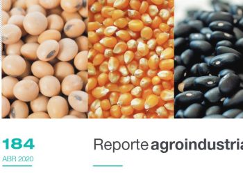 Campaña estival 2019/2020 en Tucumán: área cultivada con soja, maíz y poroto y comparación con campañas precedentes.