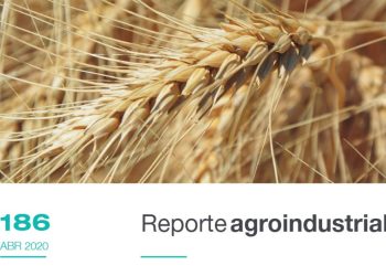 Resultados económicos y productivos del cultivo de trigo en Tucumán, período 2014-2019. Encuesta de trigo campaña 2019.
