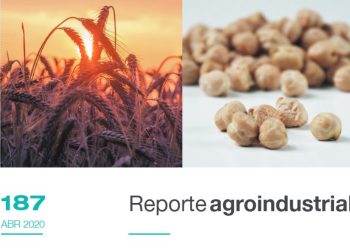 ¿Cuánto cuesta producir trigo, garbanzo y cultivos de servicio en Tucumán? Una estimación para la campaña 2020.