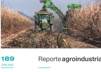 Resultados del análisis prezafra correspondiente a la segunda semana de mayo de 2020.