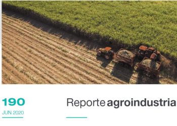 Área cosechable y producción de caña de azúcar y azúcar para la zafra 2020 en Tucumán