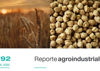 Calidad de la semilla de trigo y garbanzo obtenida en la campaña 2019